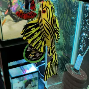 Royal Pleco Plush