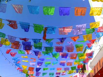 product review image from y 0