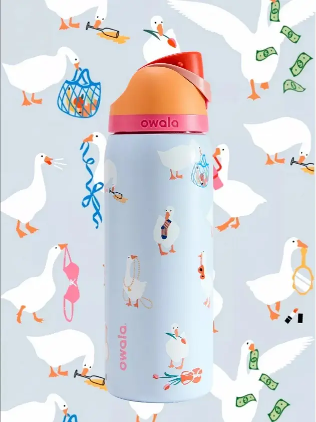 Owala Exclusive FreeSip 32oz Water Bottle | Silly Goose Design | Premium Insulated Bottle | Perfect Gift