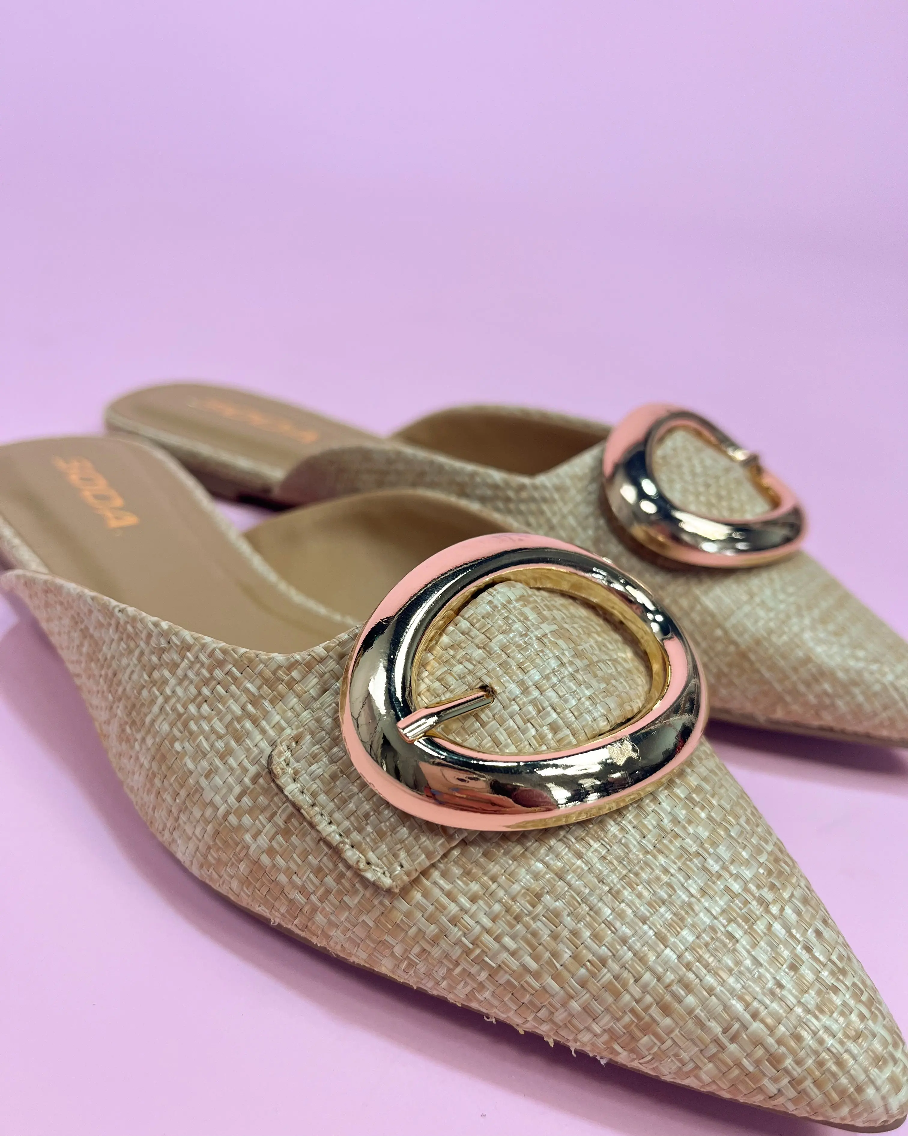 The Marcie Raffia Pointed Toe Mule