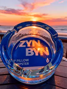 ZynByn Lip Pillow Dumpster - Unique & Stylish Home Waste Disposal Bin for Office or Home Use - Quirky Gift for Any Occasion