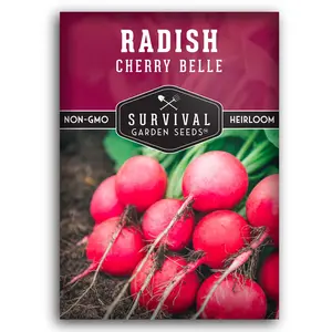 Cherry Belle Radish Seeds
