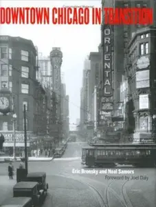 USED Book - Downtown Chicago in Transition by Eric Bronsky (Hardcover) - english