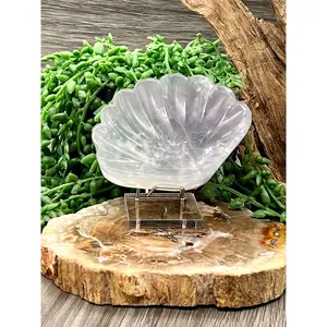 Rainbow Fluorite Shell Bowl