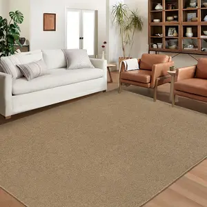 Modern Solid Color Area Rug Large Size Washable Area Rug Stain Resistant Non-Slip Home Decor Rug For Living Room Bedroom Farmhouse Runner Carpets