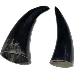 Ogue de shango santeria 4-6" tarros de buey (2 piezas) shango santeria elegua santeria herramientas de guerreros santeria religion ifa yoruba