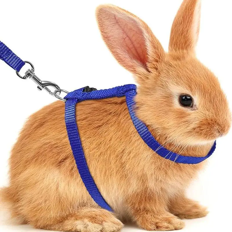 Cat Harness with Leash, Escape-proof Cat Harness with Lead, Adjustable Pet Chest Strap