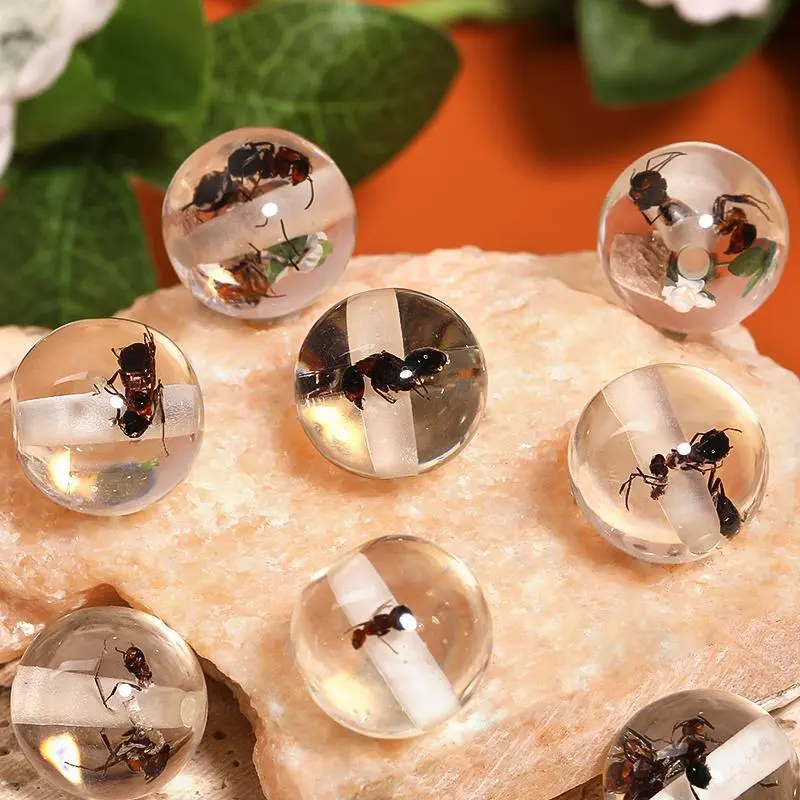 Ant beads XX073019 （10mm 100PCS)