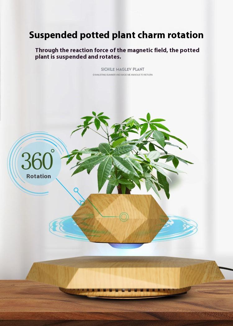 Cool Magnetic Levitating Plant Pot, 360° Rotating Floating Flower Pot with Wooden Texture Base, Unique Home & Office Desk Accessory