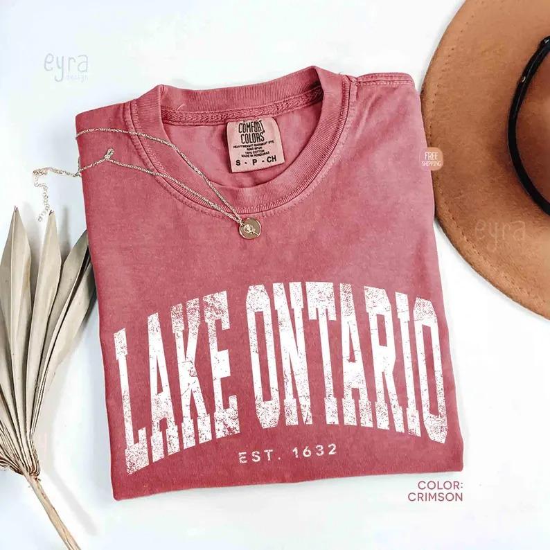 Vintage Lake Ontario T-shirt, Comfort Colors Protest Shirt, Canada Tee, Anti Trump Shirt