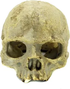 Aquarium  Skull, Reptile Tank Accessories Ornament Basking Snake  Decor Habitat