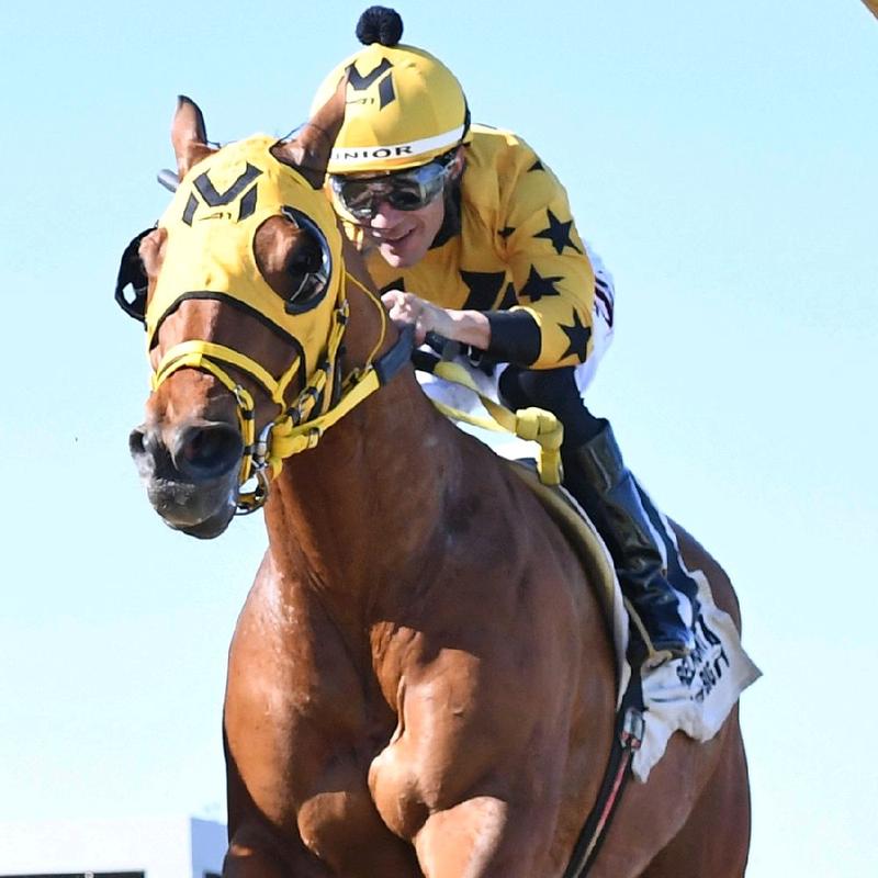 K2 BioKinetic Youth Sleeve - Lightweight Compression Sleeve with MuscleWeb Technology, Adjustable Detachable Body & Wrist Straps for Targeted Support