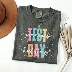Comfort Colors Testing Day Shirt, State Testing Shirt, Teacher Life, Comfort Colors Tee, Teachers Test Day, Confetti Teacher Shirts,You Can Do Hard Things Streetwear Womenswear