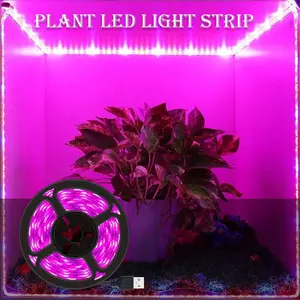 Plant Growth Light USB Powered Plug-And-Play, Suitable for Greenhouses Indoor Balconies Succulents Flowers Vegetables Seedlings