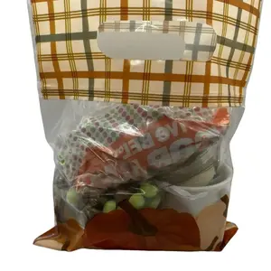 Mystery Fall-O-Ween Treat bags Gift