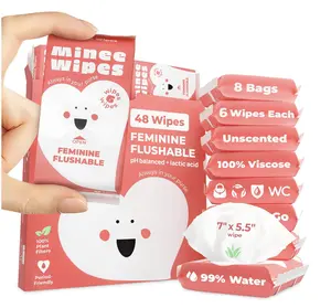 Travel Feminine Wipes (Credit Card Size) - pH Balanced & Period-Friendly Intimate Care, Ultra Soft Wipes for Women & Teens, Unscented Travel Essentials by Minee Wipes
