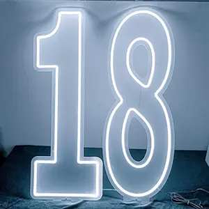 0-9 Neon Light Sign, USB Powered Adjustable Brightness, Romantic Fairy Style Wall Lamp Perfect for Birthdays and Weddings, Unique Gift Idea