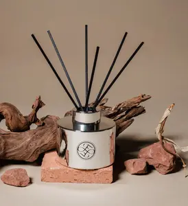 Monsoon No. 08 Diffuser - 100 ml Natural Fragrance with Refreshing Citrus, Floral, and Woody Notes, Handcrafted for a Unique Atmosphere