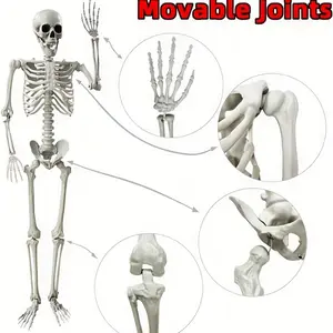 1 piece, extra large Halloween skull skeleton, synthetic gem props for haunted house decoration, bar ornament. Movable joints, detachable head and cervical vertebrae. Suitable for Halloween parties, Christmas, home decoration, teaching props and shooting