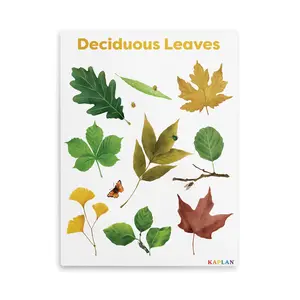 Kaplan Early Learning Deciduous Leaves Giclee Classroom Wall Print | Nature-Inspired Room Décor | 18" x 24" | Plant Canvas Wall Art