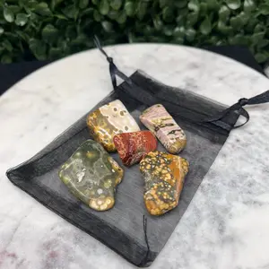 Ocean Jasper Tumbles