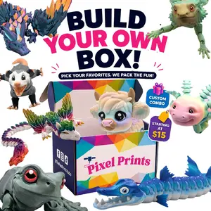 Pixel Prints Build-A-Box of 3D Printed Articulating Figurines Fidgets Choose and fill with Creatures Customizable Sizes Starting at $5