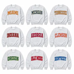 Vintage College Crewneck Sweatshirt – Ash Grey, Custom University Team, Game Day Outfit, Retro Varsity Style, Menswear & Womenswear
