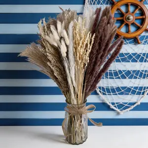Coastal Boho Decor: Airy Dried Pampas Grass