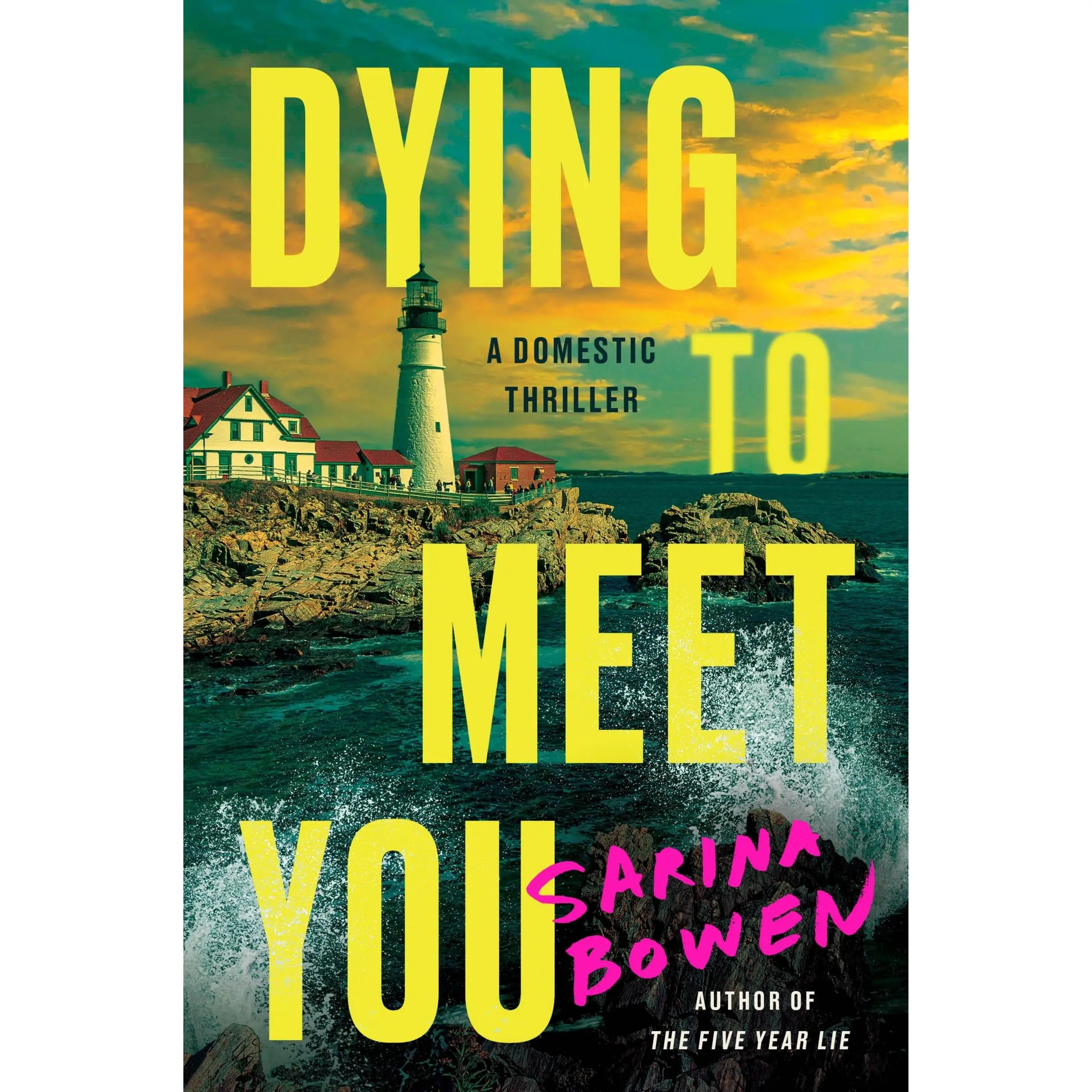 Dying to Meet You: A Domestic Thriller by Sarina Bowen [Paperback Book]