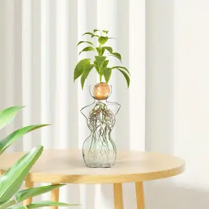 1 piece of glass hydroponic vase, avocado seed water culture vessel, glass vase for hydroponic seed fruits and nuts as a tabletop decoration, elegant female glass vase, modern plant vase, excellent center piece for home decoration