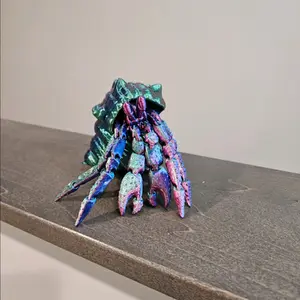 Hermit  and crab shelf
