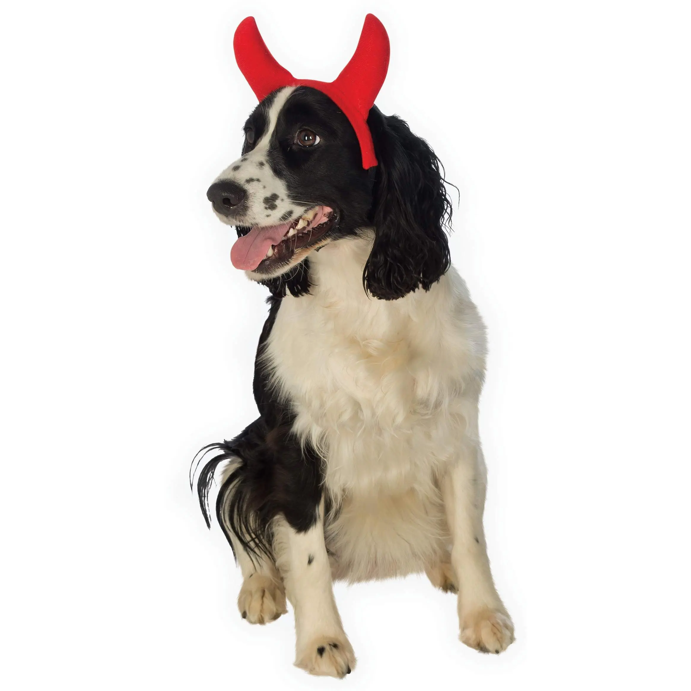 Pets Devil Horns Costume Accessory