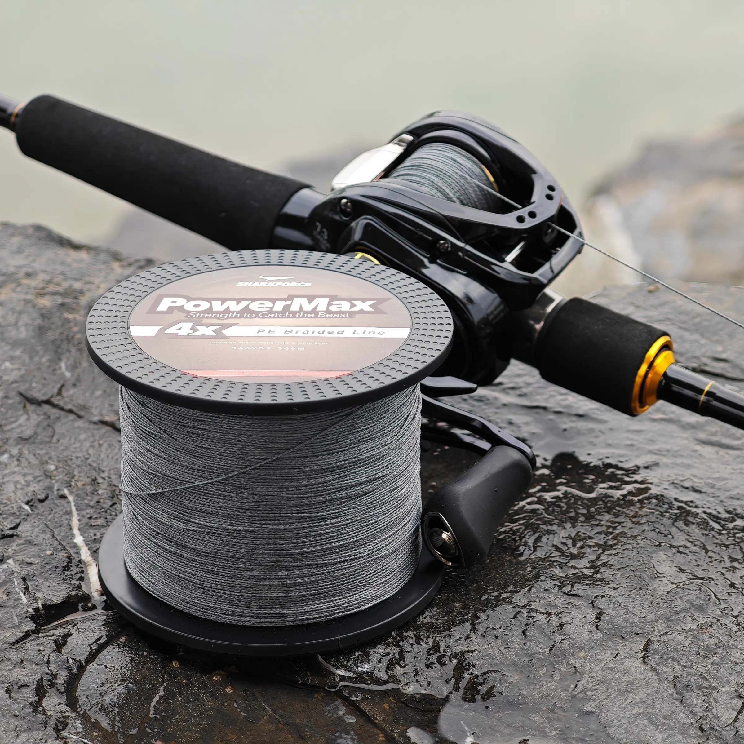 Sharkfoce Braided Fishing Line 4x 500m, Max Drag 80lb, Multifilament Pe Line  for Saltwater Sea Fishing, Durable & Reliable, Fishing Gear - TikTok Shop