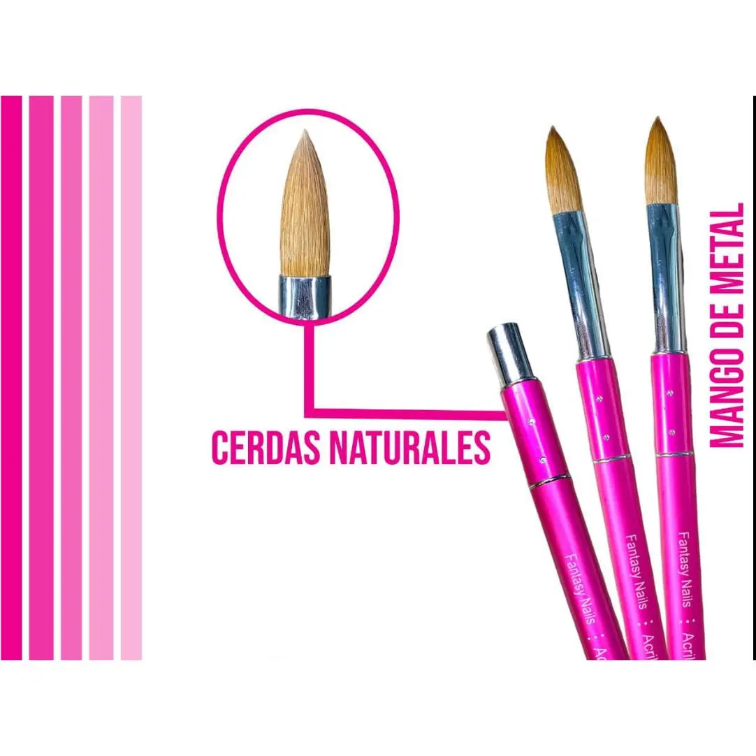 Brushes / Pinceles