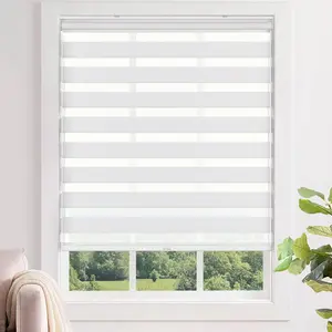 No Tools No Blinds for Windows, Dual Layer Light for Day and Night, Light Filtering Privacy Roller Blinds and Shades for Home, 25" W x 48" H, White