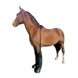 EasyCare EasyBoot Ultimate Remedy Therapy Boot L