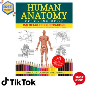 Human Anatomy Coloring Book: 150 Detailed Illustrations & 70 Fascinating Facts in an Anatomy and Physiology Workbook for Adults, Medical Students, & Nurses Focused on Advanced Body Systems Learning