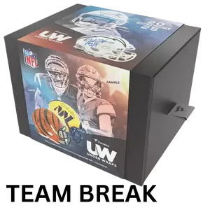 2025 Fanatics Under Wraps NFL Mini Helmet (Single Mystery Box - Team Break)