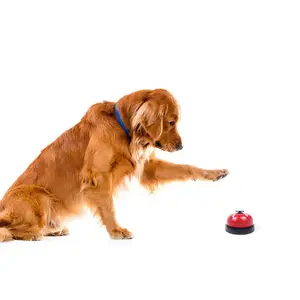 Quick Answer Bell Pet Training Bell, Pet Call Button, Teaching Tool, Ideal for Dog & Cat Owners, Enhance Communication Skills