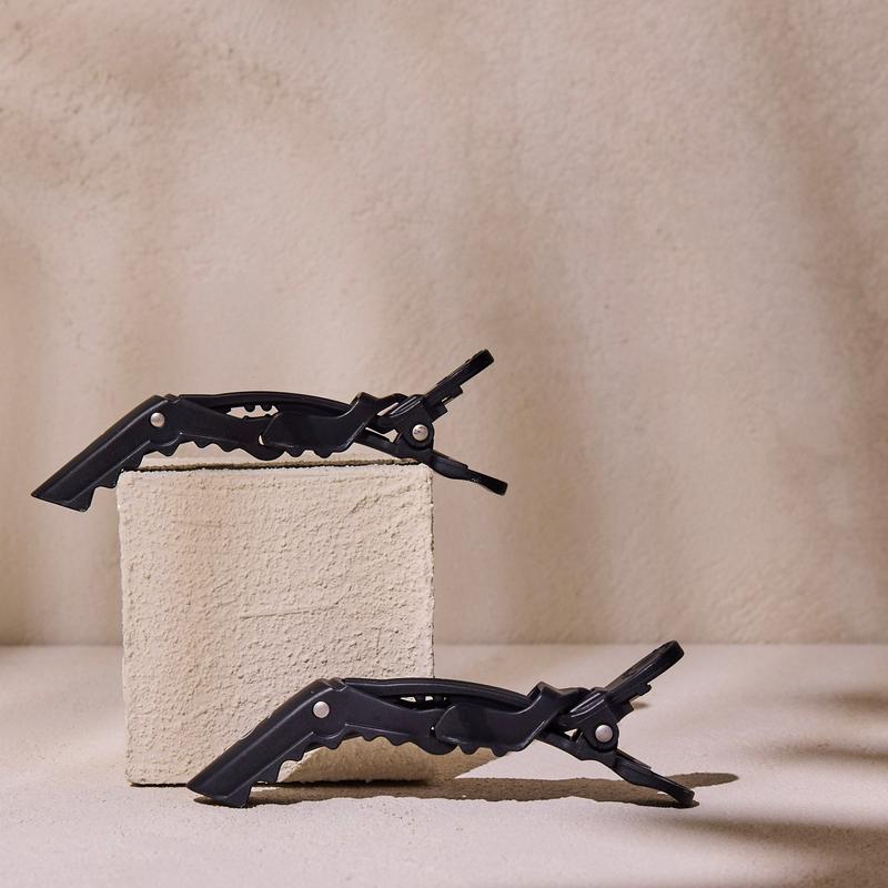 Darby Clips (2-Pack) - TikTok Shop