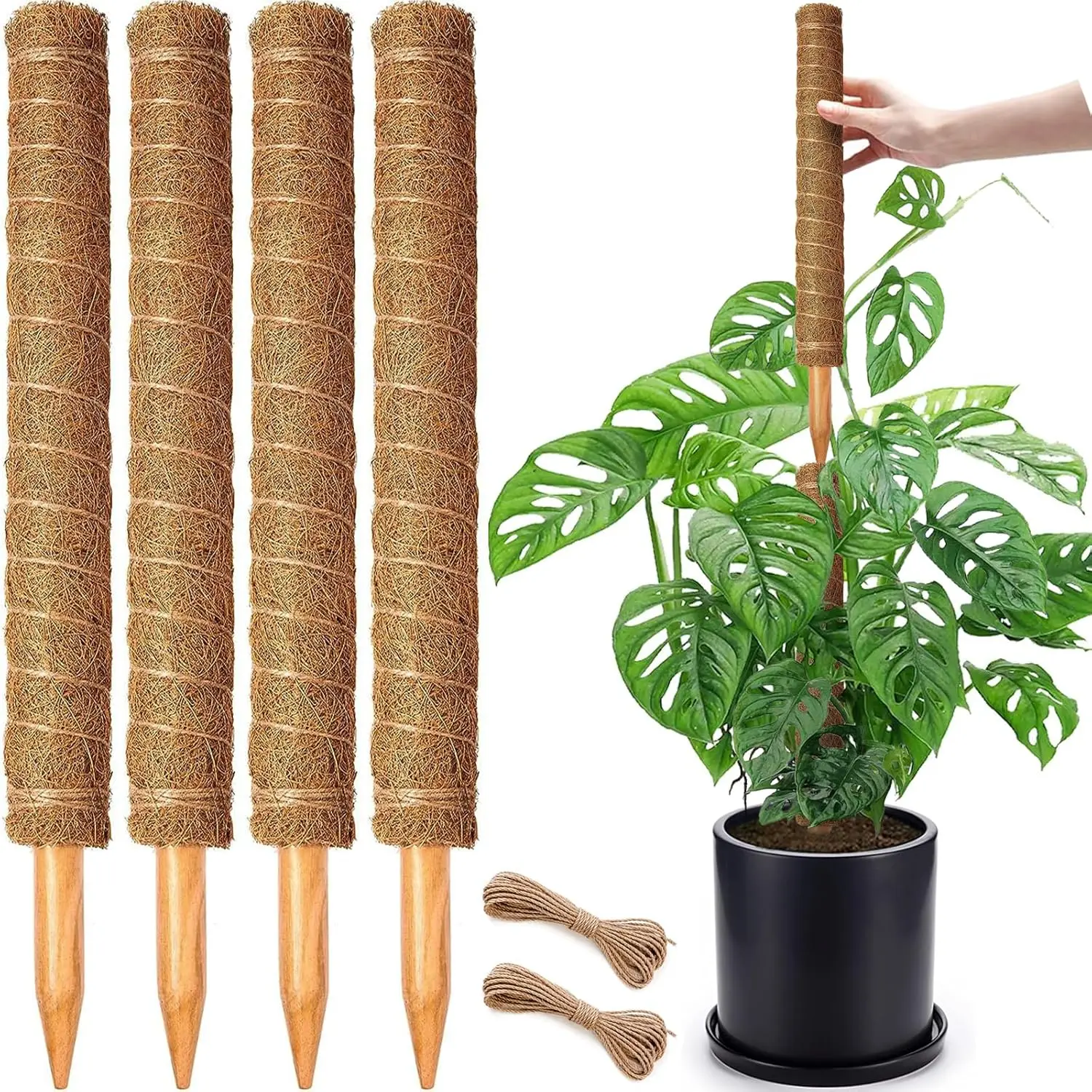4 Pack 18 Inch Moss Pole, Stackable Moss Poles for Climbing Monstera, Tall  Sticks Accessories, Large Coir Support Stakes for Potted Indoor, Pothos,  Philodendron - TikTok Shop