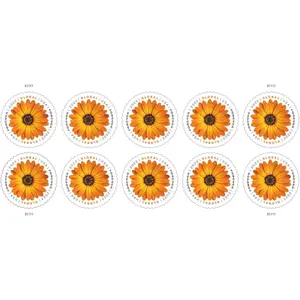 2022 International Mail African Daisy Postage Stamps (1 Sheet, 10 Stamps)