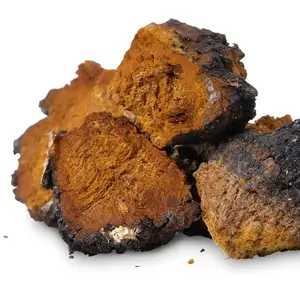 Whole & Dried Chaga Organic