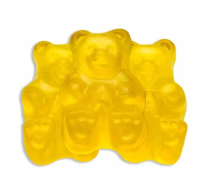 Flavorful, Fresh & Soft Gummi Bears, World's Best Gummy Candy in Bulk, 1 LB Pack of Gummy Bears (Mango)