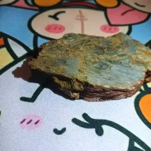 petrified wood