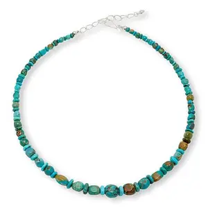 Mine Finds by Jay King Armenian Turquoise Bead 18" Necklace