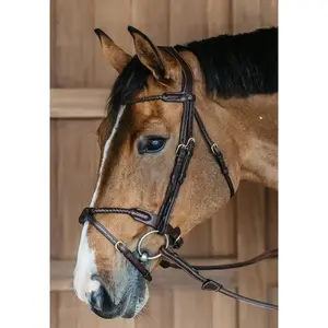 Dyon Braided Noseband Bridle with Flash