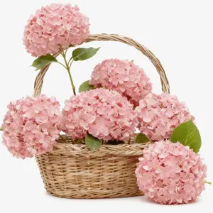 VIKINGS PANDA Large Hydrangea Artificial Flowers 19.3", 6 Pcs Latex Real Touch Faux Hydrangea with Stems, Fake Flowers for Table Centerpieces Arrangements Wedding Bouquets