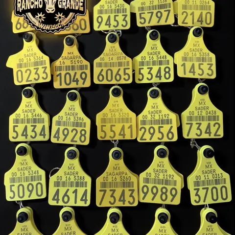 Original Cow Tag Western Keychain