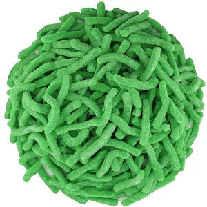 GREEN APPLE SOUR GUMMY WORMS 2 POUNDS BAG Sweet Snack